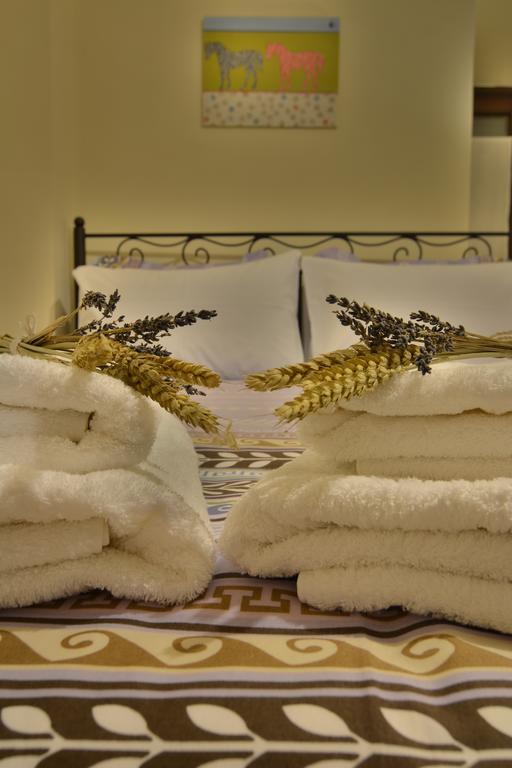 Gartagani Guest House 스템니차 외부 사진
