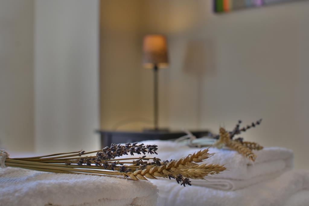 Gartagani Guest House 스템니차 외부 사진